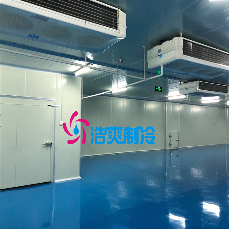 建造大型医疗冷藏库所需要的费用价格是多少？