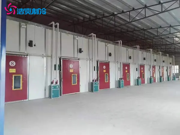 果蔬气调冷藏库 火龙果 猕猴桃冷库建造 鲜花保鲜冷库 
