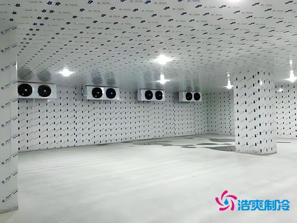 100平方冷冻库设计安装造价多少钱？