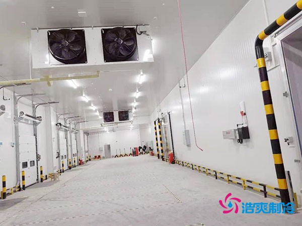 冷库造价悬殊？揭秘每平米价格背后的秘密！