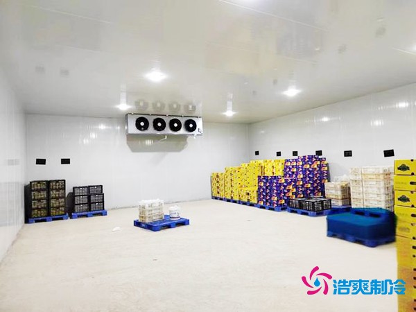 肉类冷库造价