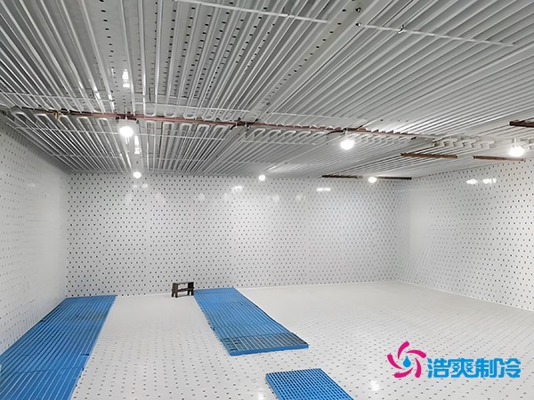 排管式冷库造价