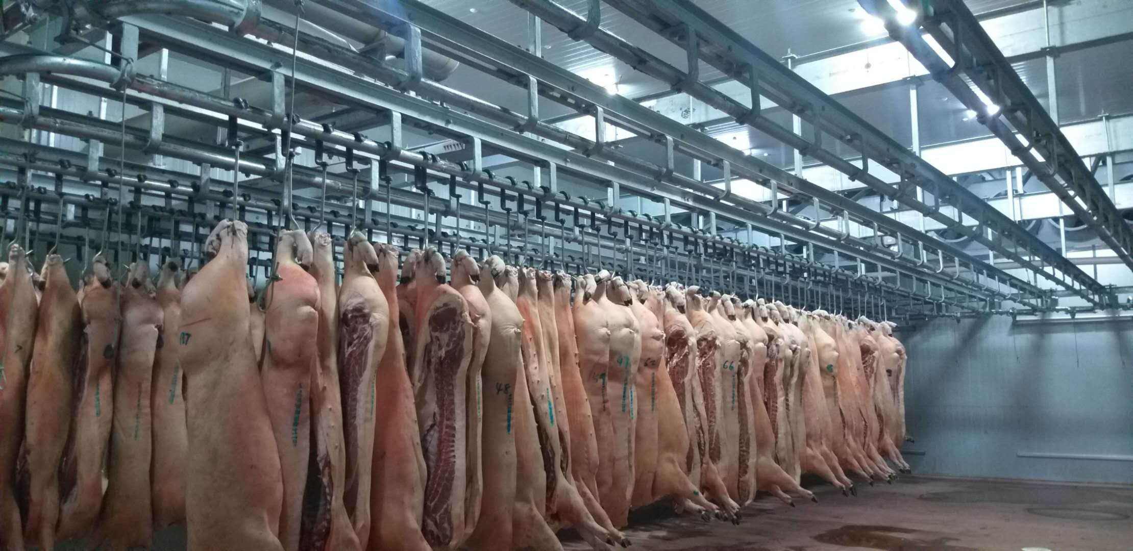 肉类冷库