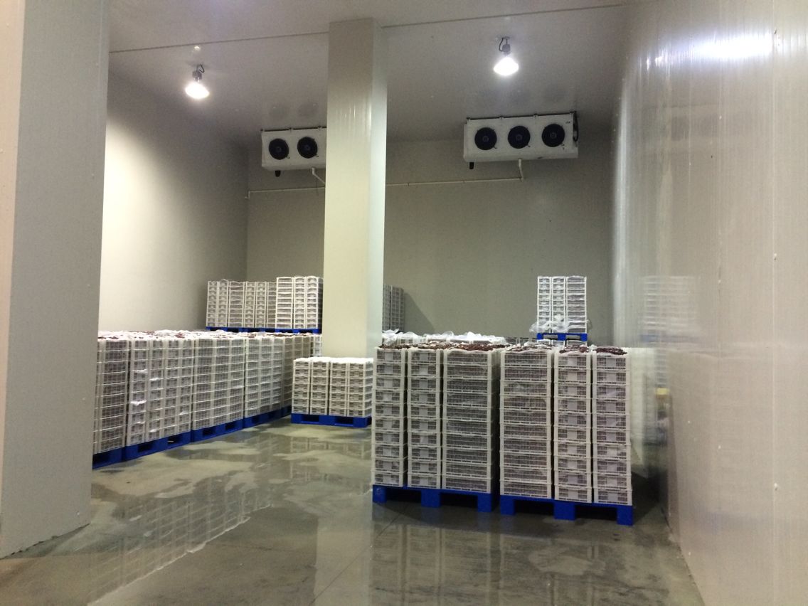 2000吨水果冷库,冷库安装费用多少