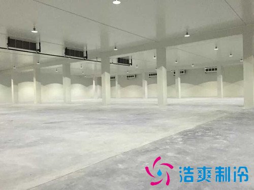 建造4500平米食品冷冻库安装,冷库价格多少