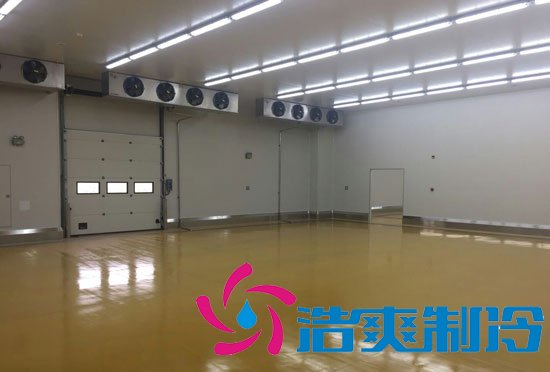 25000平米物流电商冷库,冷库设计建造多少钱