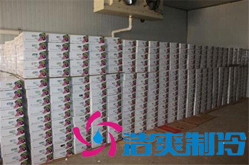 嘉宝果冷库