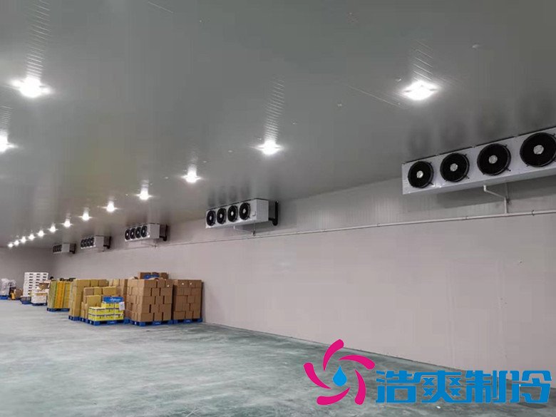 大型生鲜配送冷库选址及(水产冷冻库)设计方案报价