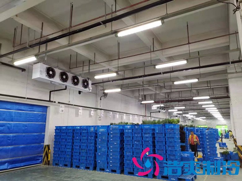 大型生鲜配送冷库选址及(水产冷冻库)设计方案报价