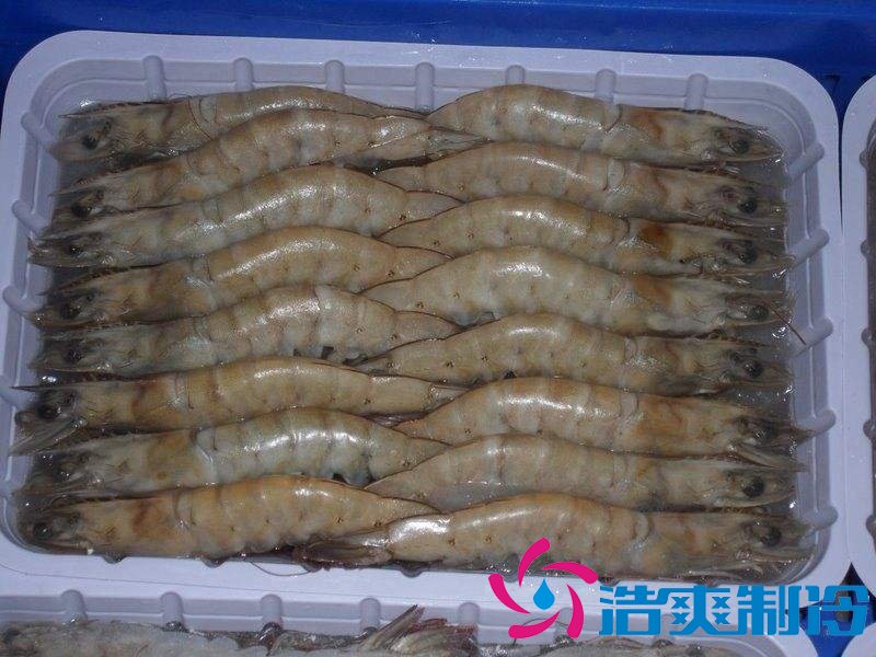 -18℃~-25℃冷冻食品低温仓储设备安装费用多少钱